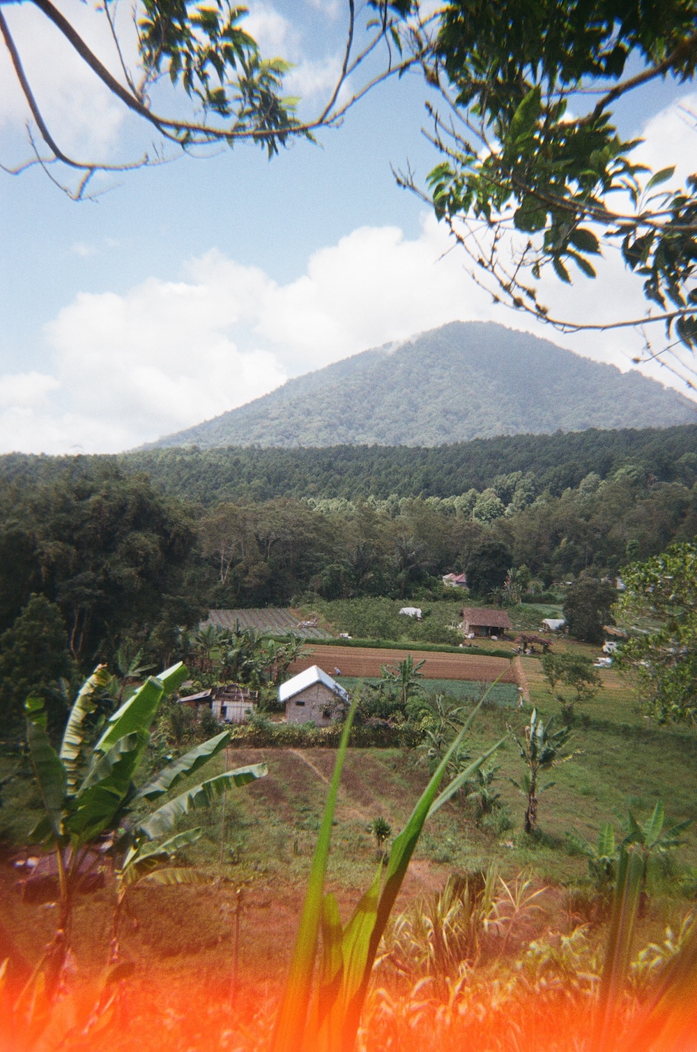 Munduk
