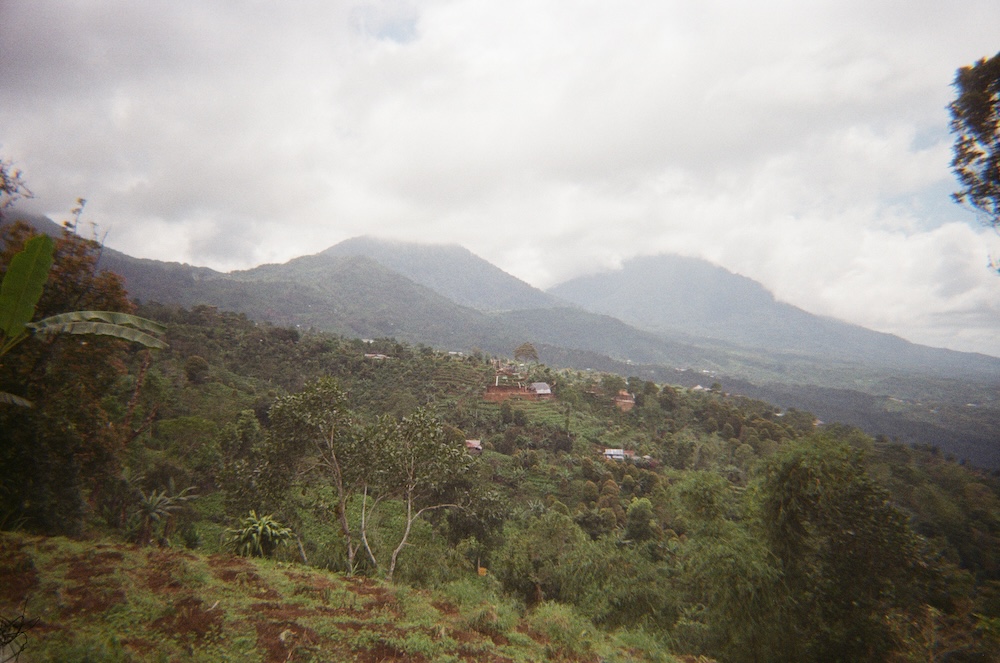 Munduk