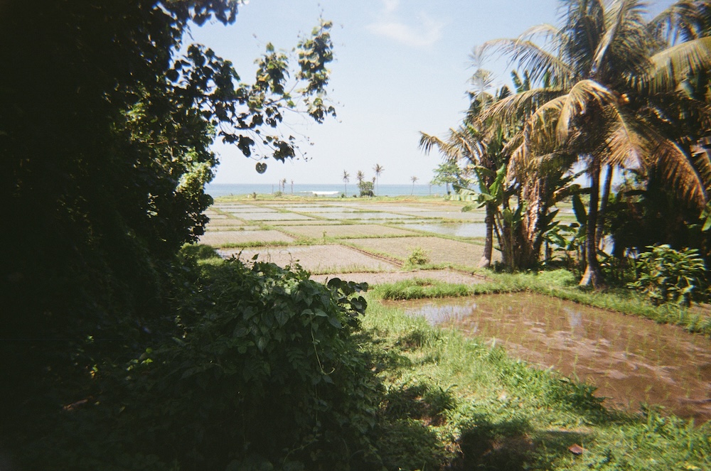 Bali