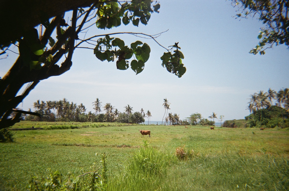 Bali
